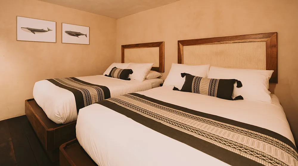 Suite Palma